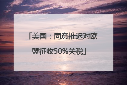 美国：同意推迟对欧盟征收50%关税