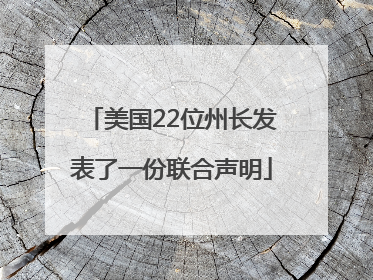 美国22位州长发表了一份联合声明