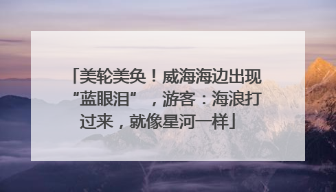 美轮美奂！威海海边出现“蓝眼泪”，游客：海浪打过来，就像星河一样