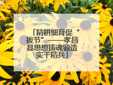精耕细育促“拔节”——孝昌县思想铸魂锻造实干精兵