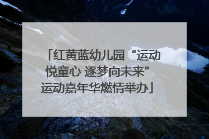 红黄蓝幼儿园“运动悦童心 逐梦向未来”运动嘉年华燃情举办