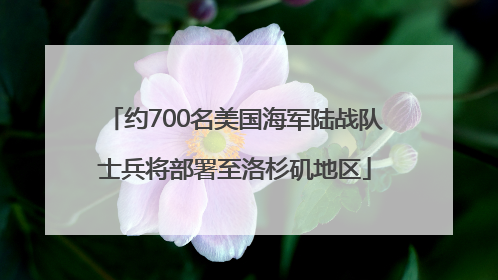约700名美国海军陆战队士兵将部署至洛杉矶地区