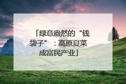 绿意盎然的“钱袋子”：高原夏菜成富民产业