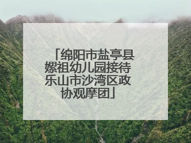 绵阳市盐亭县嫘祖幼儿园接待乐山市沙湾区政协观摩团