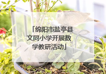 绵阳市盐亭县文同小学开展数学教研活动