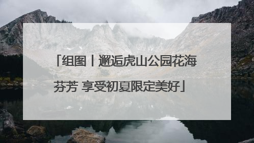 组图丨邂逅虎山公园花海芬芳 享受初夏限定美好