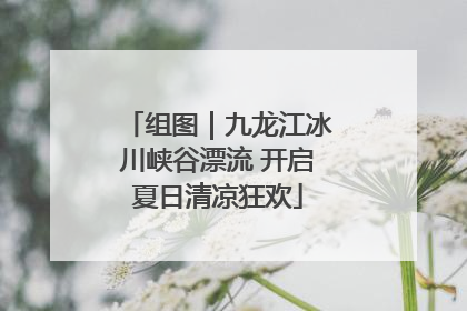 组图｜九龙江冰川峡谷漂流 开启夏日清凉狂欢