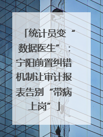 统计员变“数据医生”：宁阳前置纠错机制让审计报表告别“带病上岗”