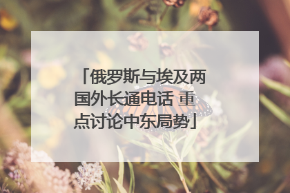 俄罗斯与埃及两国外长通电话 重点讨论中东局势