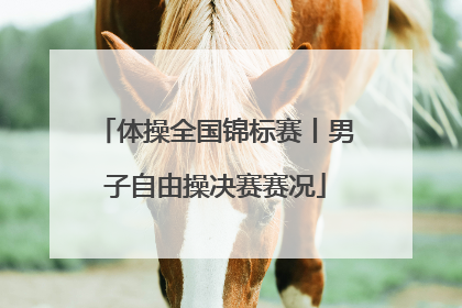 体操全国锦标赛丨男子自由操决赛赛况