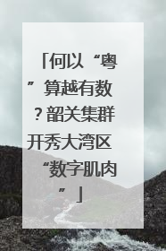何以“粤”算越有数？韶关集群开秀大湾区“数字肌肉”