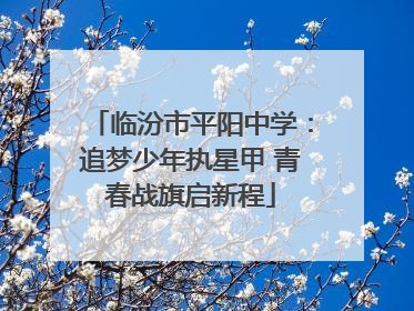 临汾市平阳中学：追梦少年执星甲 青春战旗启新程