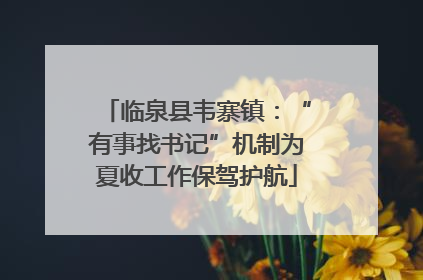 临泉县韦寨镇：“有事找书记”机制为夏收工作保驾护航