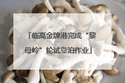 临高金牌港完成“黎母岭”轮试靠泊作业