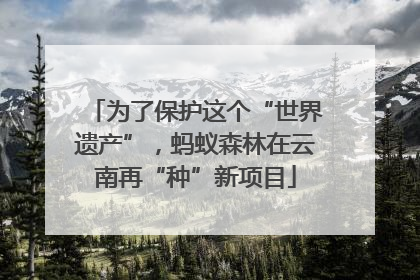 为了保护这个“世界遗产”，蚂蚁森林在云南再“种”新项目