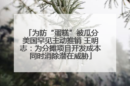 为防“蛋糕”被瓜分 美国罕见主动推销 王明志：为分摊项目开发成本同时消除潜在威胁