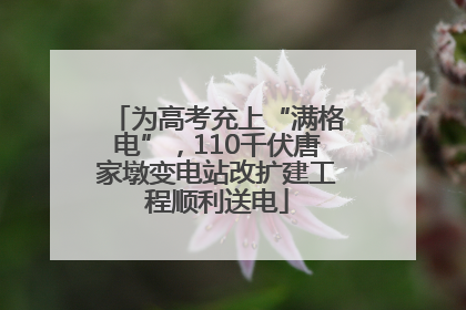 为高考充上“满格电”，110千伏唐家墩变电站改扩建工程顺利送电