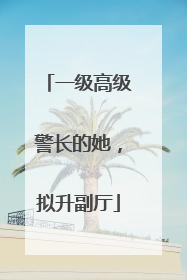 一级高级警长的她，拟升副厅