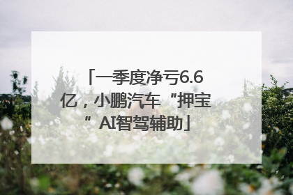一季度净亏6.6亿，小鹏汽车“押宝”AI智驾辅助