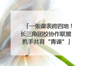 一张课表跨四地！长三角团校协作联盟携手共育“青课”