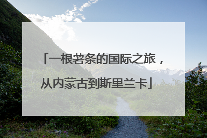 一根薯条的国际之旅，从内蒙古到斯里兰卡