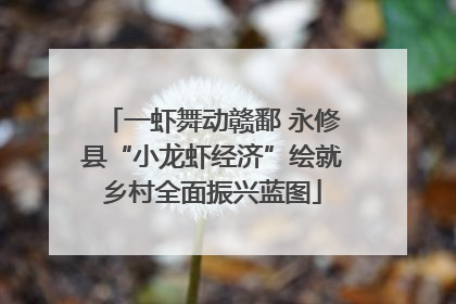 一虾舞动赣鄱 永修县“小龙虾经济”绘就乡村全面振兴蓝图