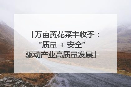 万亩黄花菜丰收季：“质量 + 安全” 驱动产业高质量发展
