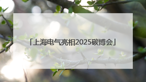 上海电气亮相2025碳博会