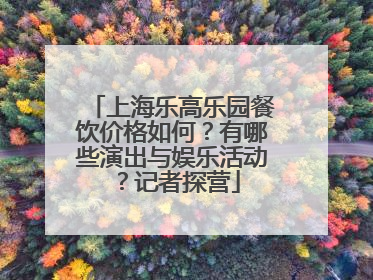 上海乐高乐园餐饮价格如何？有哪些演出与娱乐活动？记者探营