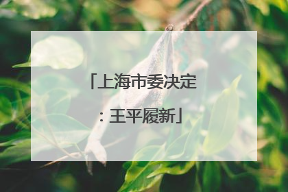 上海市委决定：王平履新