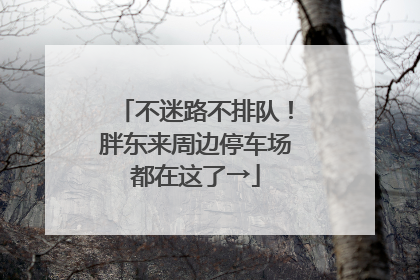 不迷路不排队！胖东来周边停车场都在这了→