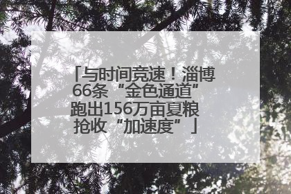 与时间竞速！淄博66条“金色通道”跑出156万亩夏粮抢收“加速度”