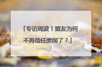 专访周波丨盟友为何不再信任美国了？