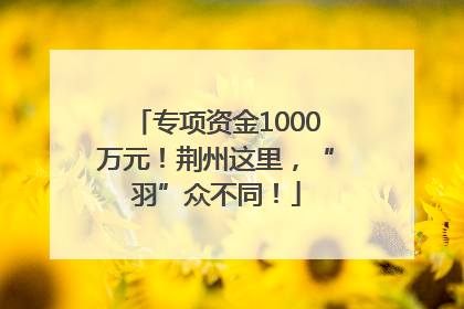专项资金1000万元！荆州这里，“羽”众不同！