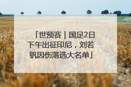 世预赛｜国足2日下午出征印尼，刘若钒因伤落选大名单