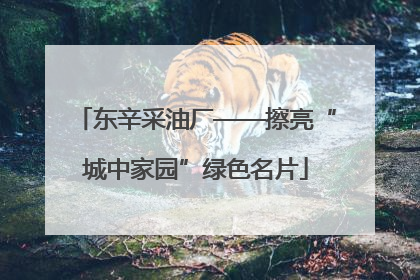 东辛采油厂——擦亮“城中家园”绿色名片