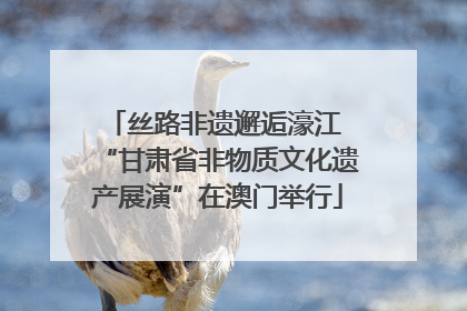 丝路非遗邂逅濠江 “甘肃省非物质文化遗产展演”在澳门举行