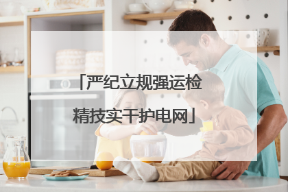 严纪立规强运检 精技实干护电网