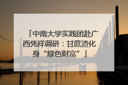 中南大学实践团赴广西凭祥调研：甘蔗渣化身“绿色财富”