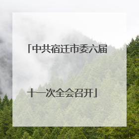 中共宿迁市委六届十一次全会召开