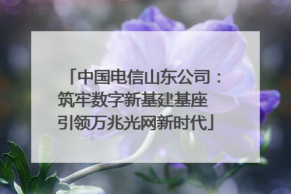 中国电信山东公司：筑牢数字新基建基座 引领万兆光网新时代