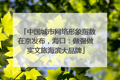 中国城市网络形象指数在京发布，海口：做强做实文旅海滨大品牌