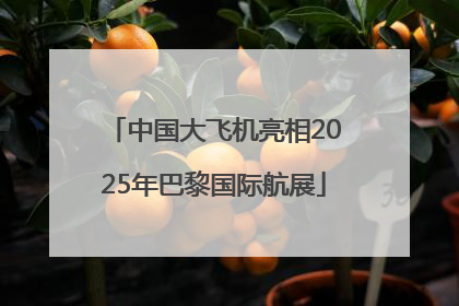 中国大飞机亮相2025年巴黎国际航展