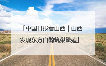 中国日报看山西｜山西发现东方白鹳筑巢繁殖