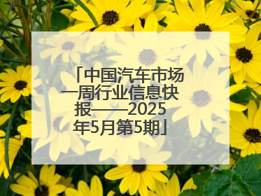 中国汽车市场一周行业信息快报——2025年5月第5期