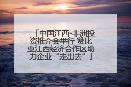 中国江西-非洲投资推介会举行 赞比亚江西经济合作区助力企业“走出去”