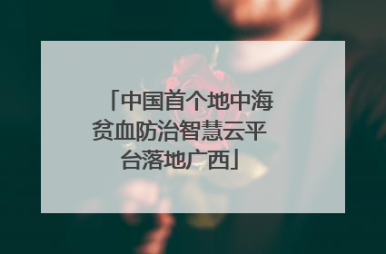 中国首个地中海贫血防治智慧云平台落地广西