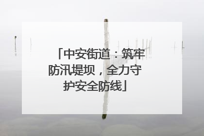 中安街道：筑牢防汛堤坝，全力守护安全防线