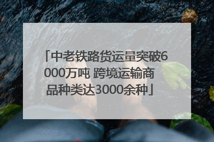 中老铁路货运量突破6000万吨 跨境运输商品种类达3000余种