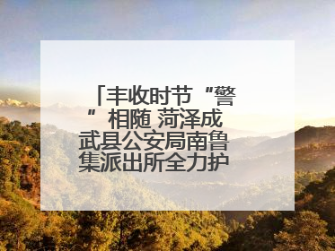 丰收时节“警”相随 菏泽成武县公安局南鲁集派出所全力护航大蒜收获季